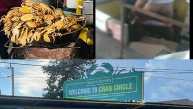 Crab Circle Jamaica Viral Video
